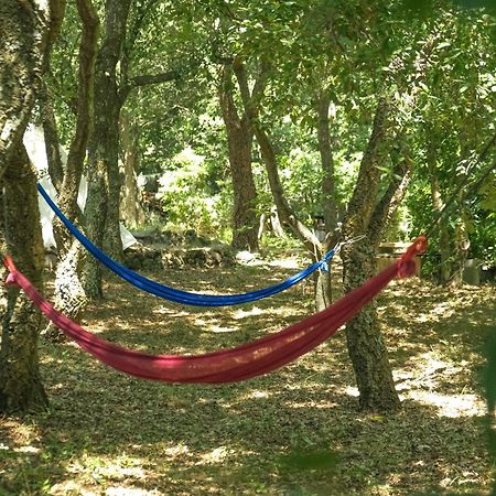 Ferienwohnung Borgo Del Mastro E Una Finestra Sul Mondo Trevignano Romano Exterior foto