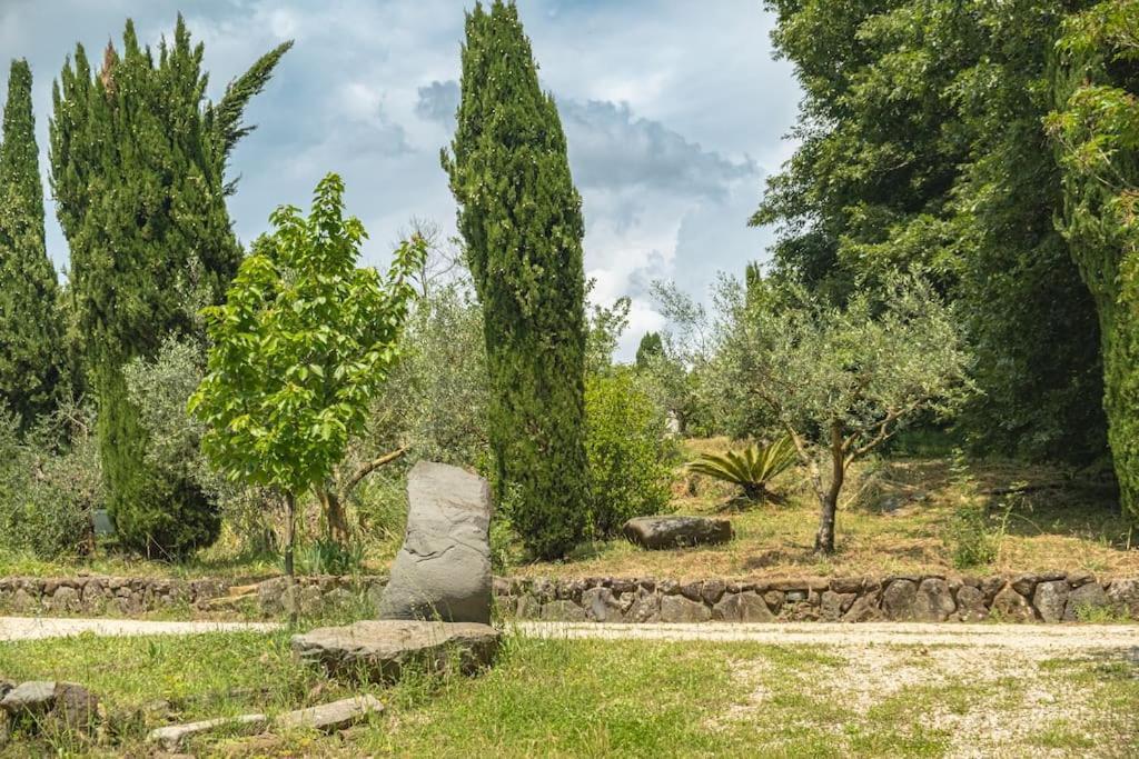 Ferienwohnung Borgo Del Mastro E Una Finestra Sul Mondo Trevignano Romano Exterior foto