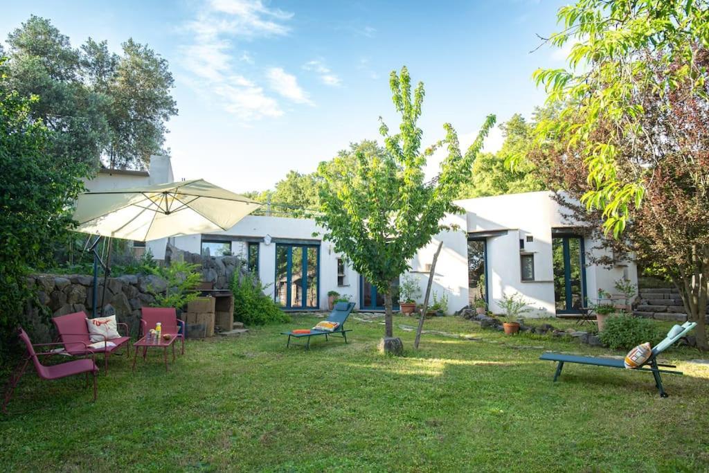 Ferienwohnung Borgo Del Mastro E Una Finestra Sul Mondo Trevignano Romano Exterior foto