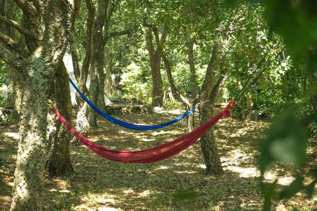 Ferienwohnung Borgo Del Mastro E Una Finestra Sul Mondo Trevignano Romano Exterior foto