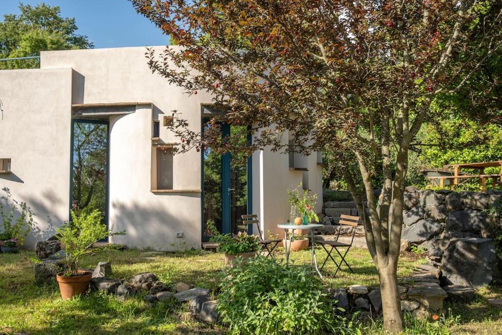 Ferienwohnung Borgo Del Mastro E Una Finestra Sul Mondo Trevignano Romano Exterior foto