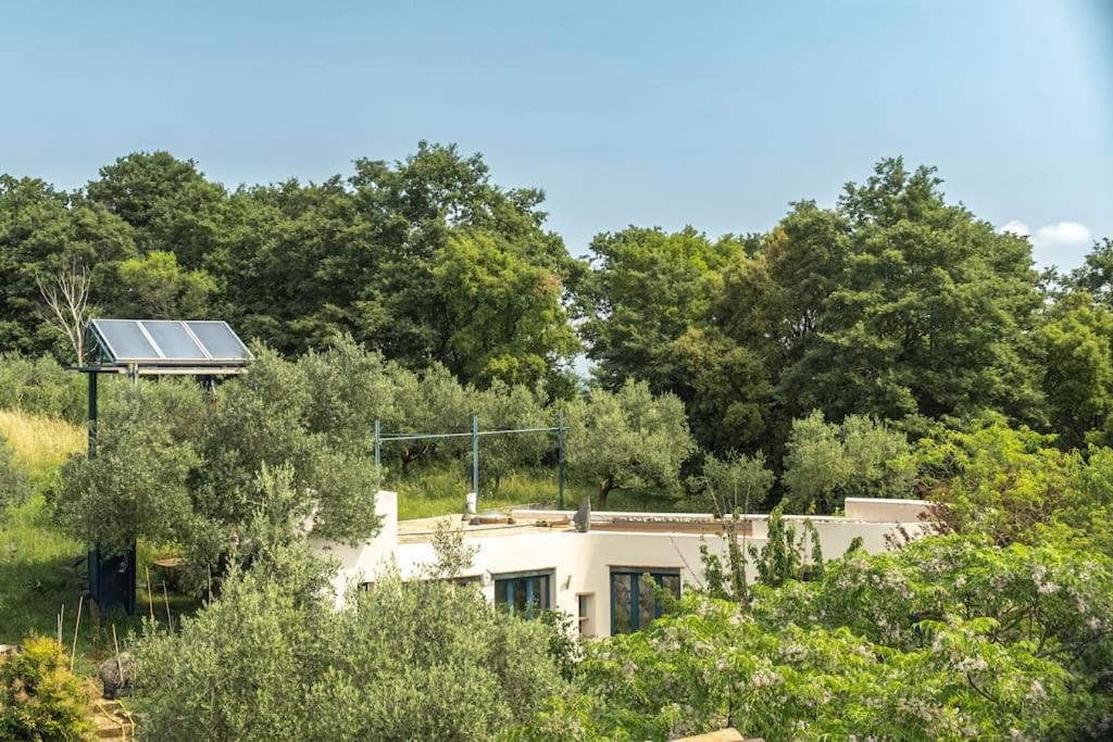 Ferienwohnung Borgo Del Mastro E Una Finestra Sul Mondo Trevignano Romano Exterior foto