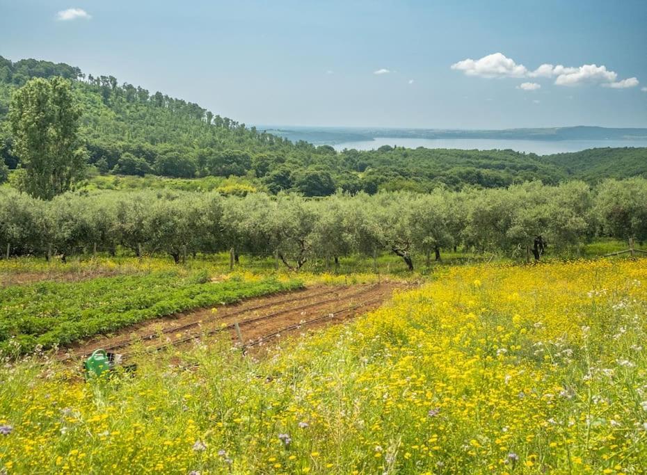 Ferienwohnung Borgo Del Mastro E Una Finestra Sul Mondo Trevignano Romano Exterior foto